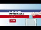 Municipales à Besançon : faut-il stériliser les chats errants ?