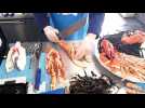 Au CFA du pays de Montbéliard, sept poissonniers en quête de trophée.