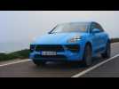 The new Porsche Macan GTS in Miami Blue Driving Video