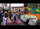 20e carnaval entre Waldwisse et Biringen - Label : Le Républicain Lorrain - Category : News