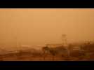Sandstorm causes disruption at Tenerife airport - Label : AFPTV - First images - Category : News