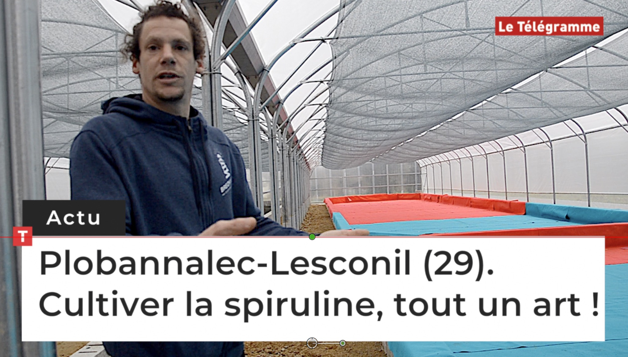 Plobannalec-Lesconil (29). Cultiver la spiruline, tout un art !  (Le Télégramme)