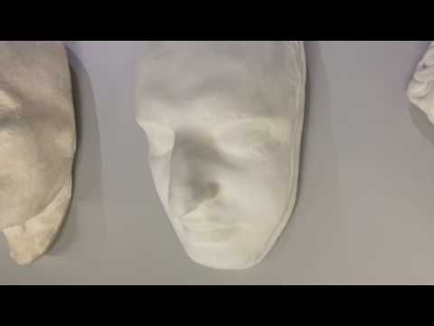 Vienna hosts Beethoven's death mask