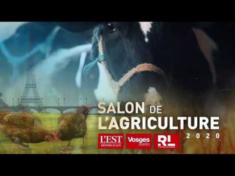 Salon de l'agriculture. Concours montbéliardes : les championnes sont du Doubs !