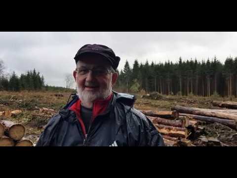 Les scolytes frappent de plein fouet les forêts du Haut-Doubs