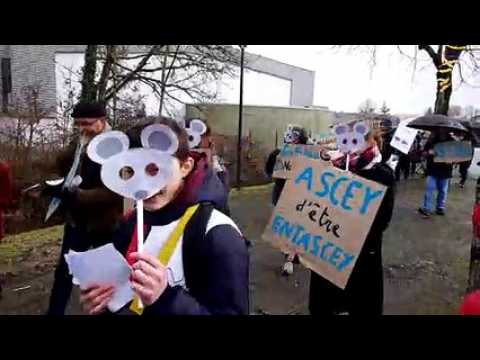 Manifestation des enseignants du collège de Scey-sur-Saône