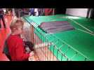 Week-end sportif et mécanique à Montbéliard