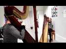 Harpe : improvisation avec H&eacute;l&egrave;ne Duchaillut - Label : L'Est Républicain - Category : News