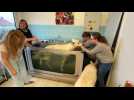 Pietra Strieder et Colette Gutbrod ont ouvert leur cabinet de physioth&eacute;rapie pour animaux &agrave; Forbach - Label : Le Républicain Lorrain - Category : News