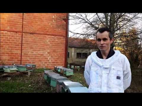 Apiculteur, Robin Radouan a installé des ruches chez un industriel