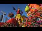 Footage of the flower parade at the carnival in Nice