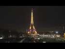 The Eiffel Tower is illuminated by Valentine