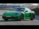 The new Porsche 718 Cayman GTS 4.0 at the track Design in Phyton Green