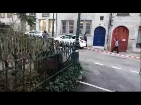 Besançon : trois sangliers pris au piège au square Castan