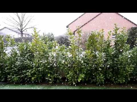 La neige commence à tomber à Thionville