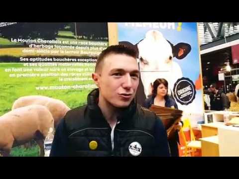 Salon de l'agriculture. Race montbéliarde : Paul-Albert Maire-Amiot concrétise son rêve avec Jupline et Madona