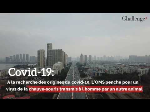 Covid-19: A la recherche des origines du covid-19, L'OMS penche pour un virus de la chauve-souris transmis à l'homme par un autre animal 