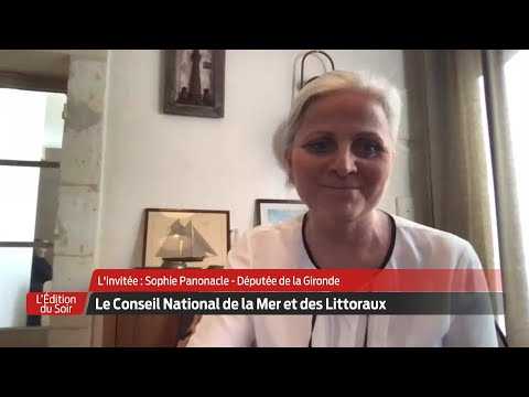 L'Édition du Soir |  L'invitée | Sophie Panonacle, députée de la Gironde