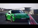 Porsche 911 GT3 (PDK) Design in Python Green