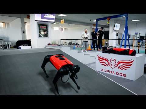 Meet Alphadog, the world's fastest Chinese robodog (1)