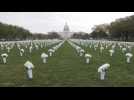 40,000 white roses in honor of gun violence victims