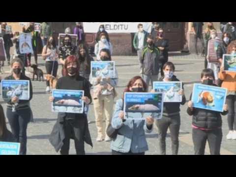 Protest in Bilbao against animal testing in Madrid lab