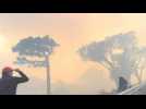 Fire in foothills of Cape Town's Table Mountain - Label : AFPTV - First images - Category : News