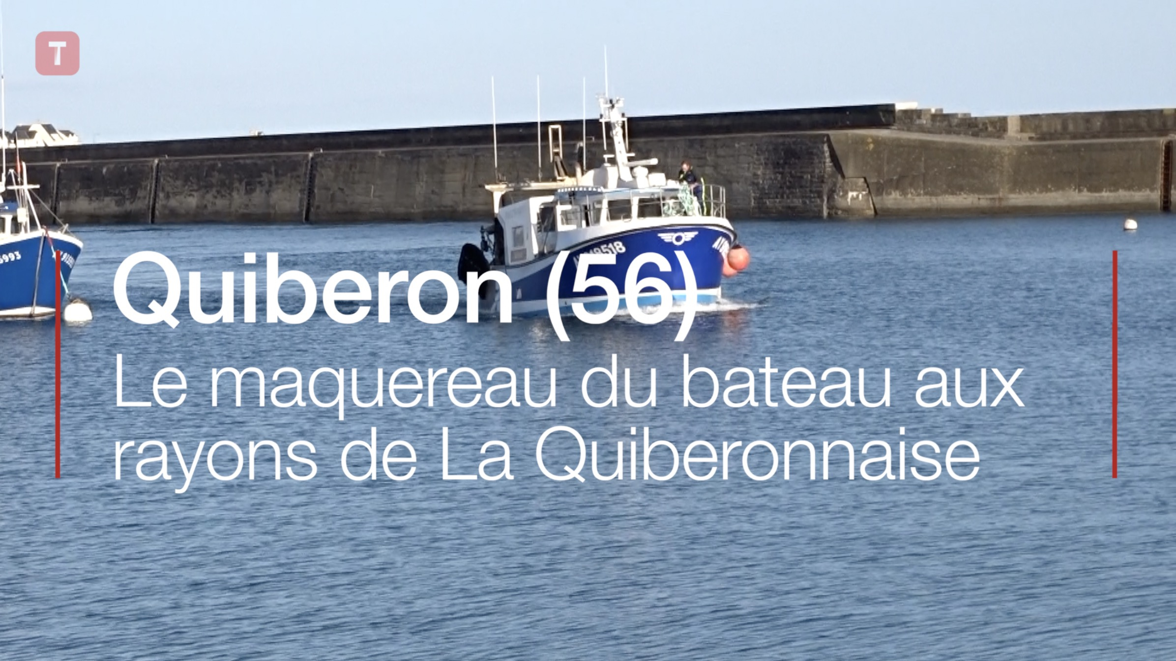 Quiberon (56). Le maquereau du bateau aux rayons de La Quiberonnaise (Le Télégramme)