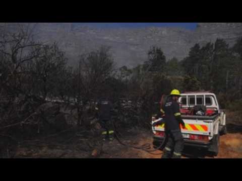 Fire destroys Jagger library in Cape Town, injures firefighters