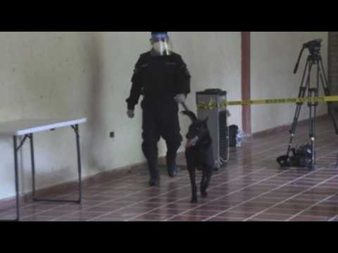 El Salvador will use police dogs to detect coronavirus cases