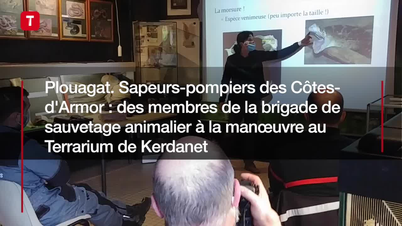 Plouagat. Sapeurs-pompiers des Côtes-d'Armor : des membres de la brigade de sauvetage animalier à la manœuvre au Terrarium de Kerdanet (Le Télégramme)