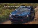 Subaru Debuts New 2022 Outback Wilderness - Most Capable Outback Ever