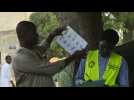 Vote counting starts in Chad presidential elections