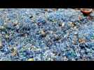New Law Could See Brits Getting 20p for Every Recycled Plastic Bottle