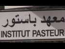 Tunisia marks one year of pandemic amid severe economic crisis