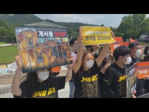 South Korean protest against dog meat consumption in Seoul