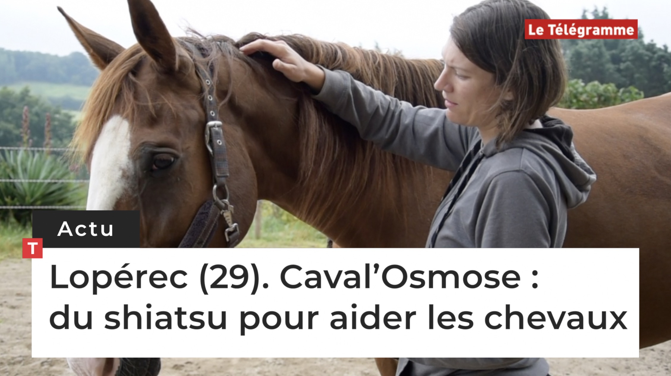 Lopérec (29). Caval’Osmose : du shiatsu pour aider les chevaux  (Le Télégramme)