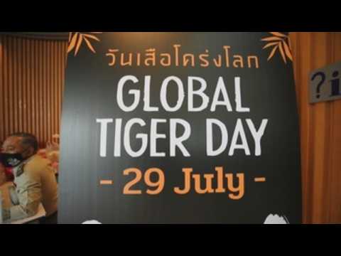 Thailand doubles population of wild tigers, endangered species