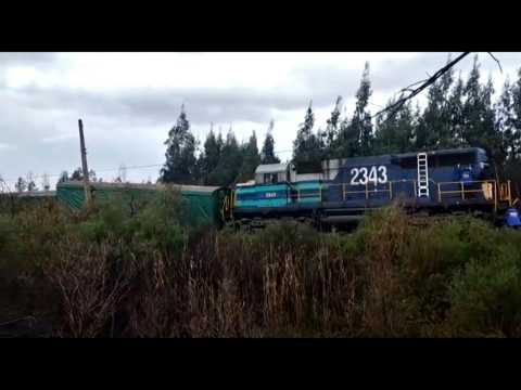Attack causes the derailment of a freight train in the Mapuche region of Chile