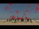 A thousand red balloons are released as a tribute to the 100,000 Brazilians killed during the pandemic