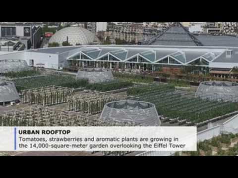 Europe's largest urban rooftop garden grows in Paris