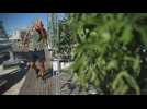Footage of largest urban rooftop garden in Europe