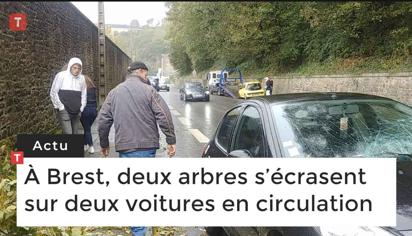 À Brest, deux arbres s’écrasent sur deux voitures en circulation (Le Télégramme)