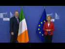 EU chief welcomes Irish Prime Minister to summit