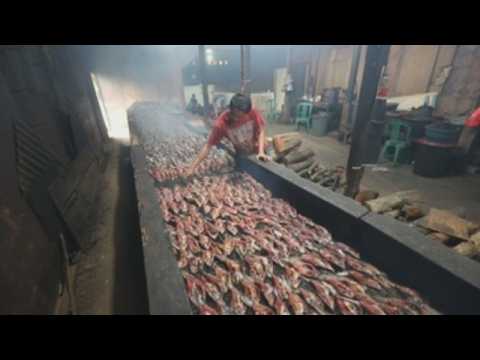 Smoked catfish for domestic consumption and export produced at traditional Indonesian factory