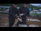 Ukai: Traditional fishing method with help of cormorant