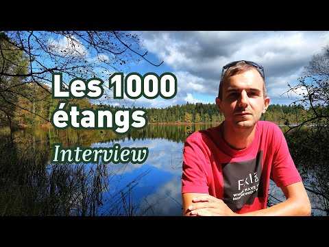 Interview Nicolas Bonne