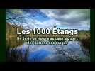 INTRO - Label : L'Est Républicain - Category : News