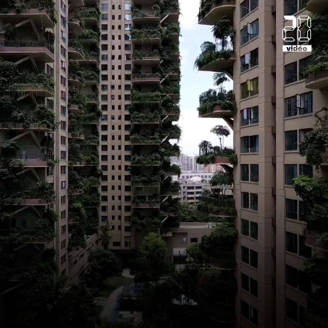 Chine: Des habitants fuient leur immeuble (trop?) végétalisé