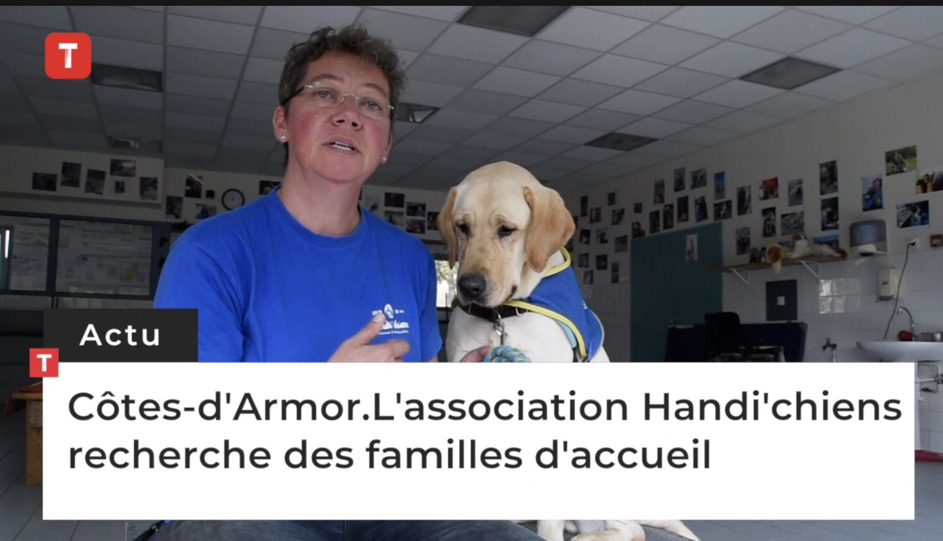 Côtes-d'Armor. L'association Handi'chiens recherche des familles d'accueil (Le Télégramme)